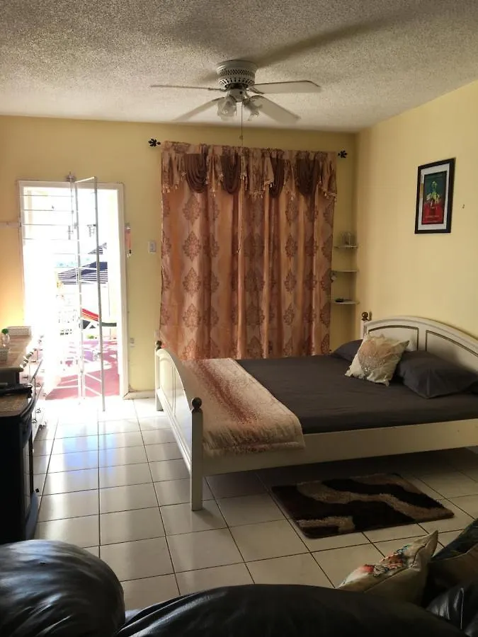 Villa #D1 Castle Studio Wifi King Bed Ocho Rios Jamaica Jamaica
